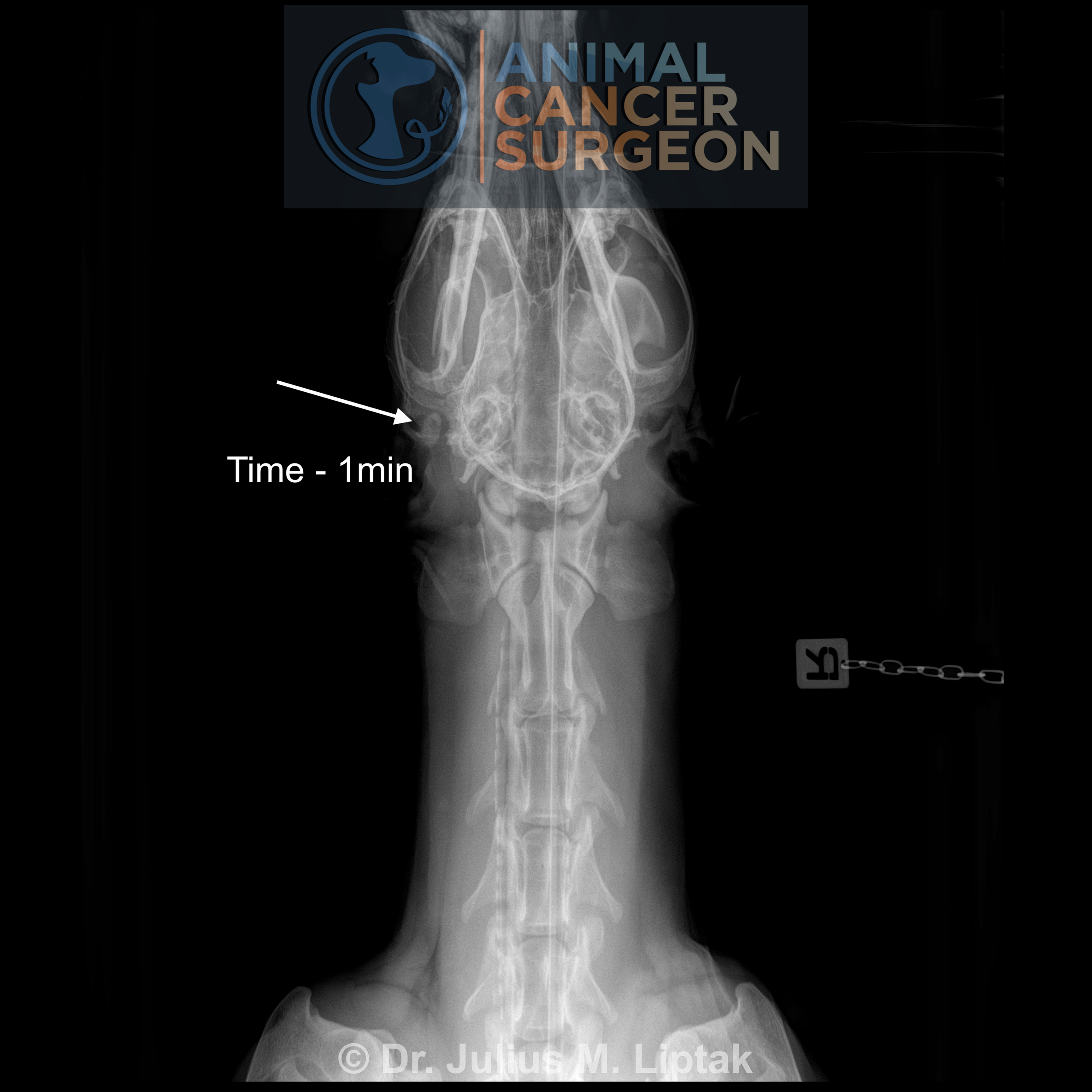 reconstruction — Case of the Week — DR. JULIUS M. LIPTAK